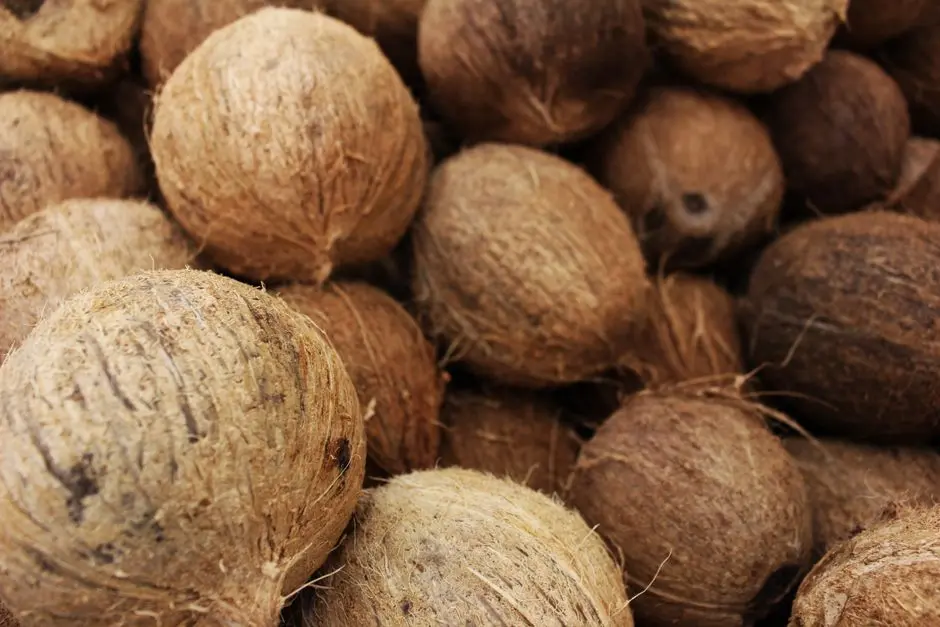 Kue kering kelapa sebagai oleh-oleh sederhana dari Pulau Kultu Bai Utara